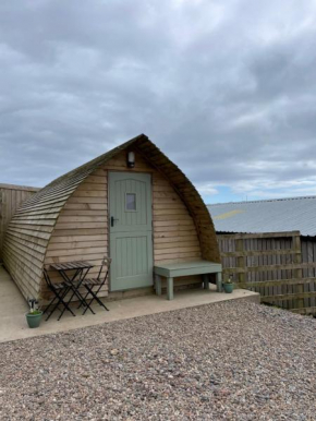 Penny gown farm pod